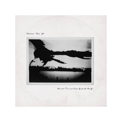 GOTO, TAKAAKIRA "TAKA" - CLASSICAL PUNK & ECHOES UNDER THE BEAUTY - CD