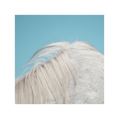 WIDOWSPEAK - ALL YOURS - LPD