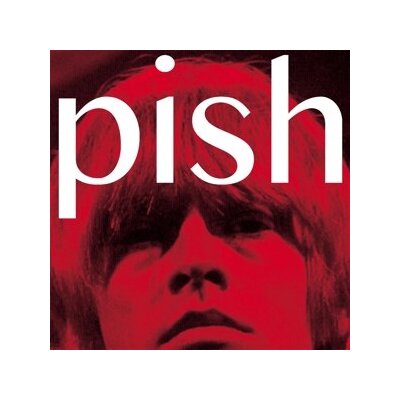 BRIAN JONESTOWN MASSACRE, THE - MINI ALBUM THINGY WINGY - CD