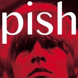 BRIAN JONESTOWN MASSACRE, THE - MINI ALBUM THINGY WINGY - CD