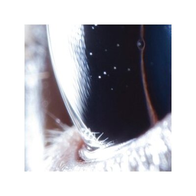 PORTER, ROLY - THIRD LAW - LP