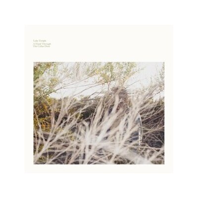 TEMPLE, LUKE - A HAND THROUGH THE CELLAR DOOR - LP