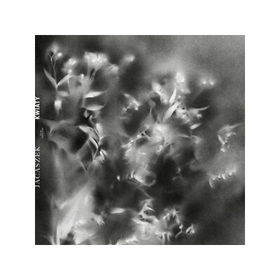 JACASZEK - KWIATY - LPD