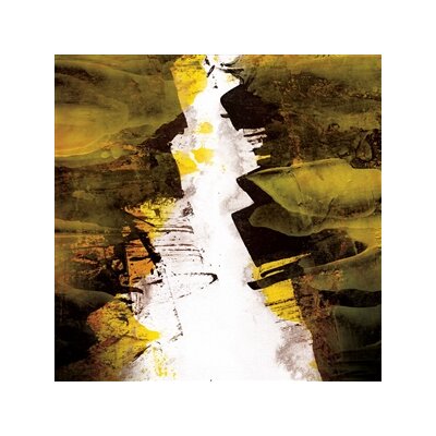 LIZZARD - ERODED - LP