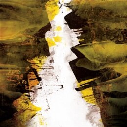 LIZZARD - ERODED - LP