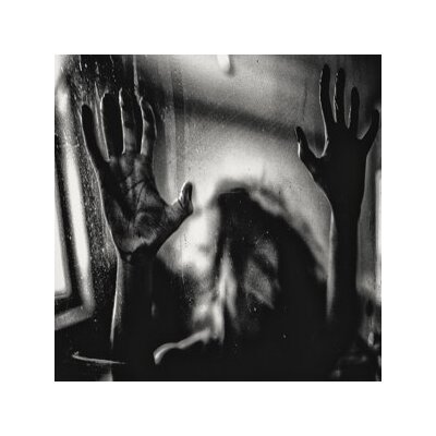 BEHIND THE SHADOW DROPS - HARMONIC - LP