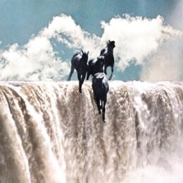 LEAN YEAR - LEAN YEAR - LPD