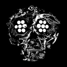 YOUNG WIDOWS - DECAYED: TEN YEARS OF CITIES, WOUNDS,...