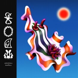 DIVINO NINO - FOAM - LP