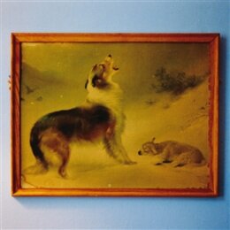 EXPLOSIONS IN THE SKY - THE RESCUE - ANNIVERSARY EDITION...