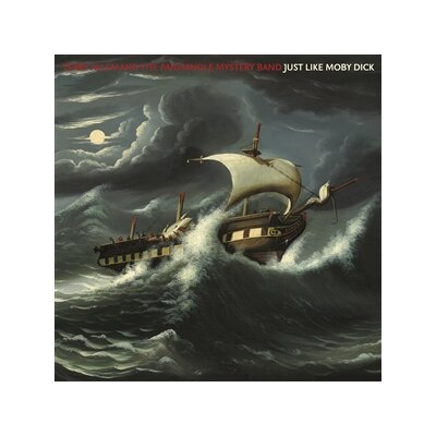 ALLEN, TERRY & THE PANHANDLE MYSTERY BAND - JUST LIKE MOBY DICK - LP