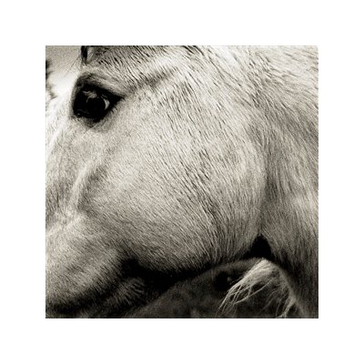 BONNY LIGHT HORSEMAN - BONNY LIGHT HORSEMAN - LP