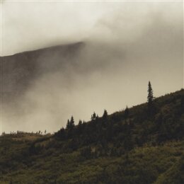 LORD BUFFALO - TOHU WA BOHU - CD