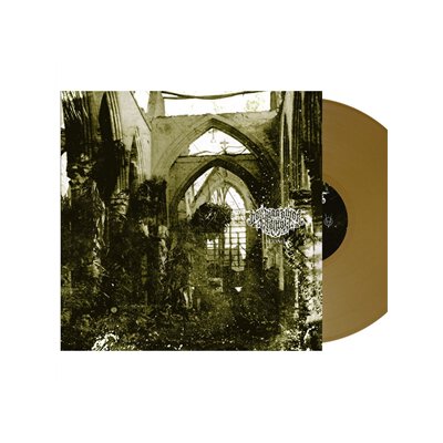 DER WEG EINER FREIHEIT - AGONIE (BLADE BULLET LP) - LP