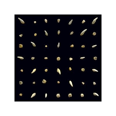 CLIPPING. - VISIONS OF BODIES BEING BURNED - LP