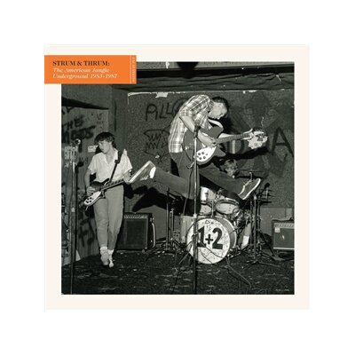 VARIOUS - STRUM & THRUM: THE AMERICAN JANGLE UNDERGROUND - LP