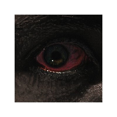 VOREUS - THE PROCLAMATION - LP