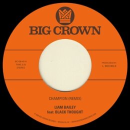 BAILEY, LIAM - CHAMPION (REMIX) / UGLY TRUTH (REMIX) -...