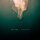 WYE OAK - CIVILIAN - LP