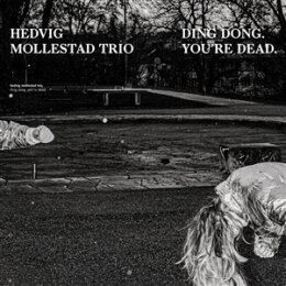 HEDVIG MOLLESTAD TRIO - DING DONG. YOURE DEAD - CD