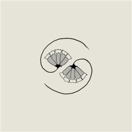 GODSPEED YOU! BLACK EMPEROR - G_DS PEE AT STATES END!...