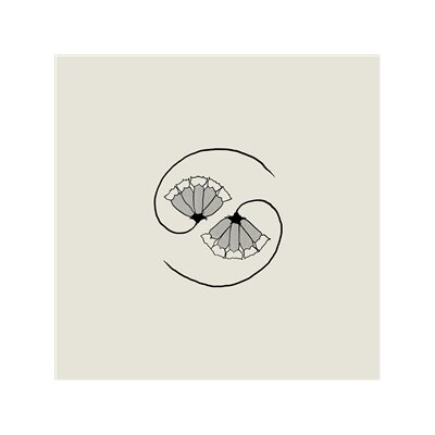 GODSPEED YOU! BLACK EMPEROR - G_DS PEE AT STATES END! - CD