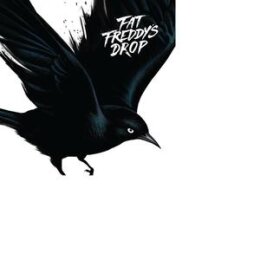 FAT FREDDYS DROP - BLACKBIRD - LP