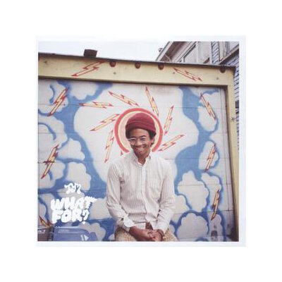 TORO Y MOI - WHAT FOR? - CD