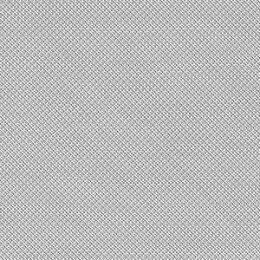 ARNALDS, OLAFUR & FRAHM, NILS - LOON - LPD