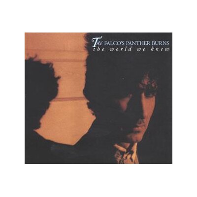 FALCO, TAV & PANTHER BURNS - THE WORLD WE KNEW/SHAKE RAG/LIVE IN BORDEAUX - CD