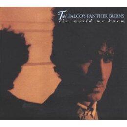 FALCO, TAV & PANTHER BURNS - THE WORLD WE KNEW/SHAKE...
