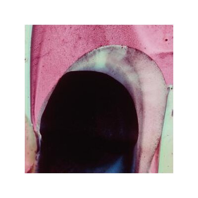 DE LABORDE, CAMILA - OPUNTIA - 12"