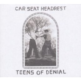 CAR SEAT HEADREST - TEENS OF DENIAL - LPD