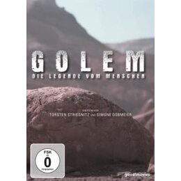 DOKUMENTATION - GOLEM - DVM