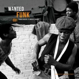 VARIOUS - WANTED FUNK - LP