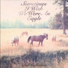 CALLAHAN, BILL - SOMETIMES I WISH WE WERE AN EAGLE - LP