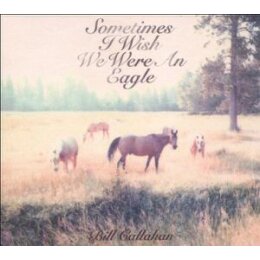 CALLAHAN, BILL - SOMETIMES I WISH WE WERE AN EAGLE - CD