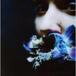 CIRCUIT DES YEUX - REACHING FOR INDIGO - CD