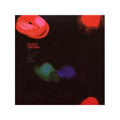 GRUBBS, DAVID - OPTIMIST NOTES THE DUSK - CD