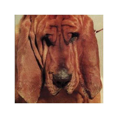 SEGALL, TY - GOODBYE BREAD - LP