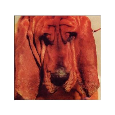 SEGALL, TY - GOODBYE BREAD - CD