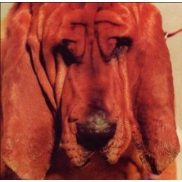 SEGALL, TY - GOODBYE BREAD - CD