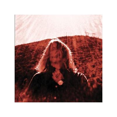 SEGALL, TY - MANIPULATOR - LP