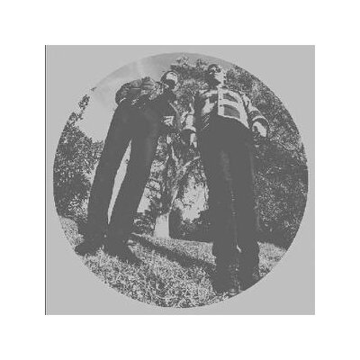 SEGALL, TY & WHITE FENCE - HAIR - LP