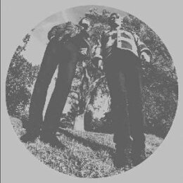 SEGALL, TY & WHITE FENCE - HAIR - LP