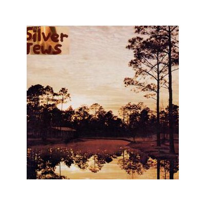 SILVER JEWS - STARLITE WALKER - CD