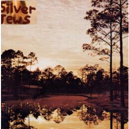 SILVER JEWS - STARLITE WALKER - CD