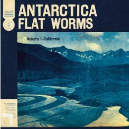 FLAT WORMS - ANTARCTICA - LP
