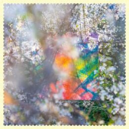 FOUR TET - SIXTEEN OCEANS - LTD EDITION - LP