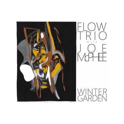 FLOW TRIO WITH JOE MCPHEE - WINTER GARDEN - CD